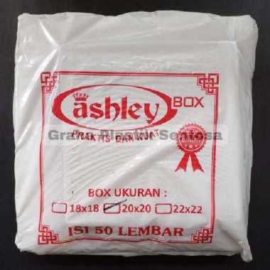 Dus Kotak/Nasi Box/Nasi Padang/Catering/Kue Box 18x18 20x20 Isi 50pcs Uk. 20 x 20cm