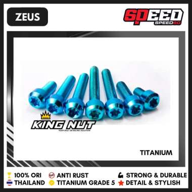 Baut M 6 x 10 Drat 10 x 10 Baut Titanium Grade 5 Probolt Thailand King Nut Zeus