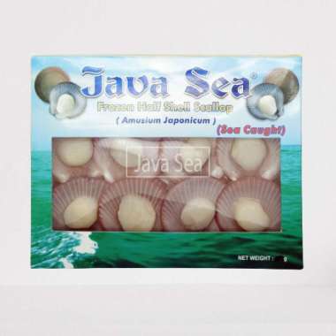 JAVA SEA FROZEN HALF SHELL SCALLOP 300GR