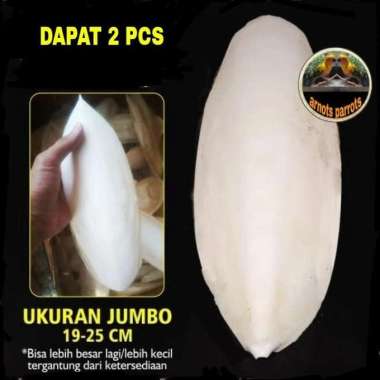 TULANG SOTONG JUMBO PAKAN BURUNG