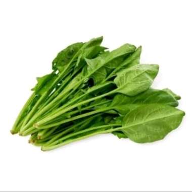 Horenso / Horenzo Hidroponik Curah 1 kg