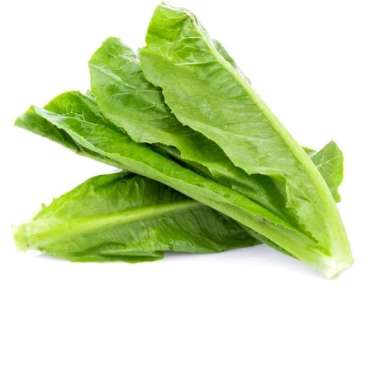 Siomak Hidroponik Fresh 250gr