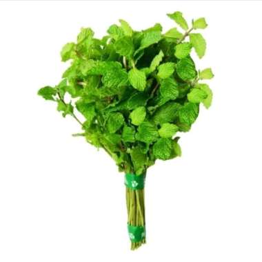 Daun Mint Organik 250gr