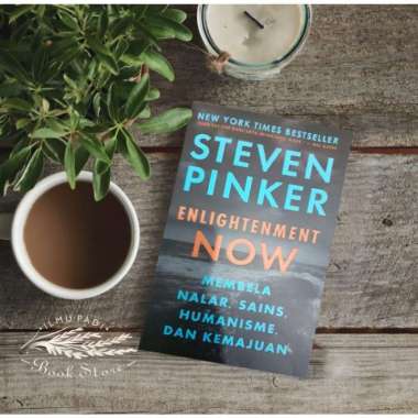 Enlightenment Now - Steven Pinker