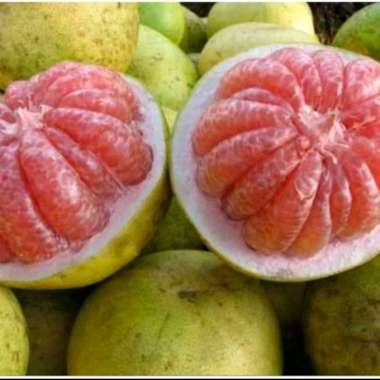 Jeruk Bali Merah / Buah