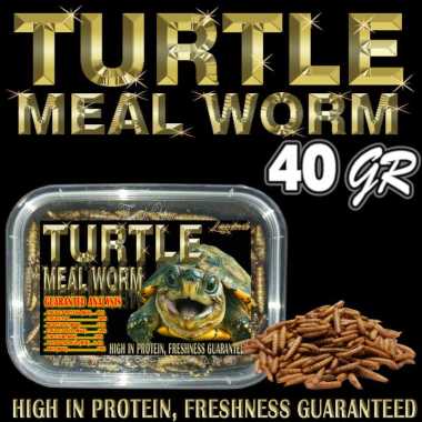 40GR TURTLE MEAL WORM MAKANAN KURA-KURA AIR PAKAN KURA BRAZIL RES CST AST MONBI RAZOR PICTA DAMER AM