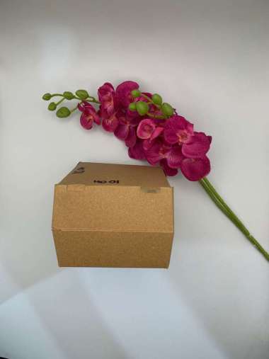 hcs- Dus Box Kotak Burger Jajan Snack 10x10x8 Kraft Full Laminasi / Dus Box Kotak Roti Kue Cake Pisa