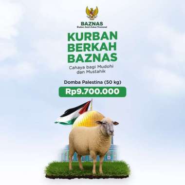 BAZNAS - Kurban Domba Palestina