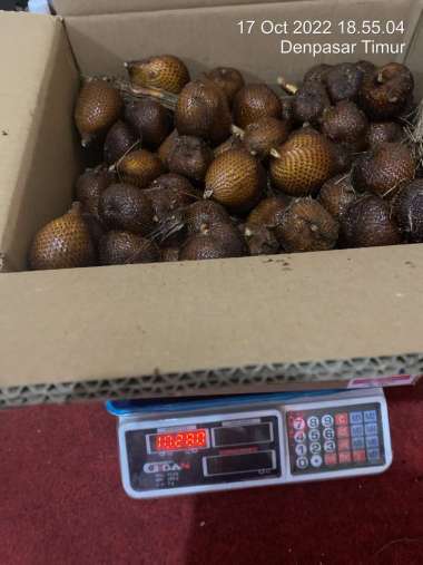 Salak Bali 1.5kg