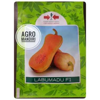 Bibit Labu Madu F1 isi 50 Benih Butternut Squash Cap Panah Merah