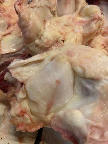 Beef Patella Bone Import / Urat Dengkul dengan Tulang Cengklok 1 kg