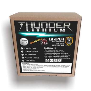 ACCU AKI Motor THUNDER Lithium Iron Phosphate (LiFePO4) Baterai 12V 6A TTZ6L