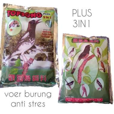 topsong voer burung 3in1 murai batu dll