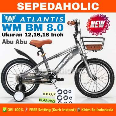 Sepeda Anak Laki Perempuan BMX ATLANTIS WM BM 8.0 / CENTRUM 317 Ukuran 12 16 18 Inch Usia 2-8 Tahun 