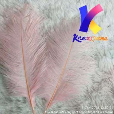 Feathers swan ostrich Bulu kemucing hiasan Kepala karnaval Per-1 Pcs Baby pink