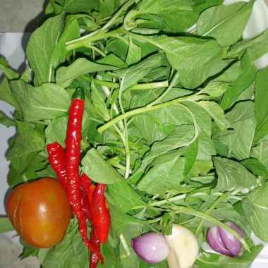 tumisan bayam bayam