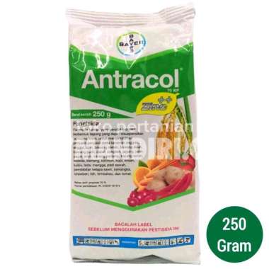 FUNGISIDA ANTRACOL 70 WP 250 GRAM