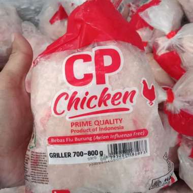 Ayam cp