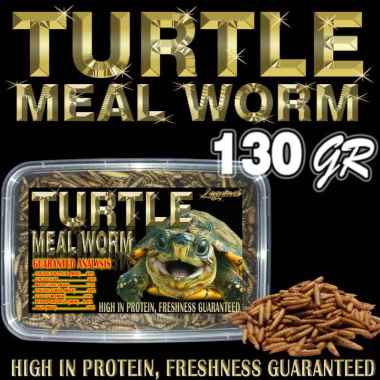130GR TURTLE MEAL WORM MAKANAN KURA-KURA AIR BRAZIL CST AST RES MONBI RAZOR PICTA UNIFILIS PIPUT DAM