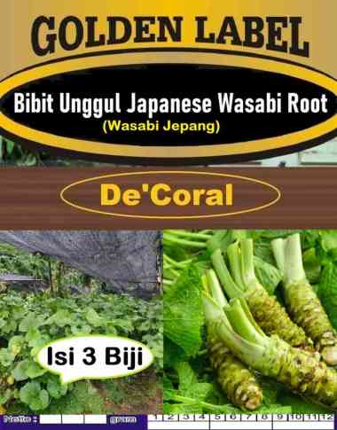 Bibit Unggul Japanese Wasabi Root |Biji Benih Tanaman Wasabi Jepang