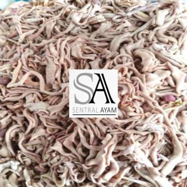 USUS SEGAR 1KG / USUS MURAH / USUS MENTAH 1KG USUS FRESH FROZEN USUS BERKUALITAS FRESH