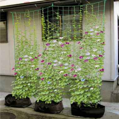 Embelish Jaring Nilon Tanaman Rambat Plants Climbing Net 180x180cm