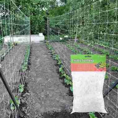 SEZENY Jaring Tanaman Rambat Plants Climbing Net Polyester 1.67x10M