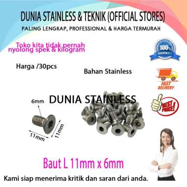 Baut L 11mm x 6mm Stainless