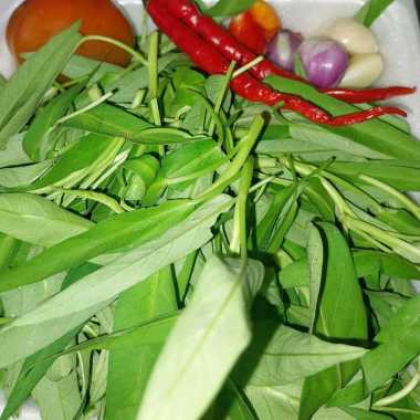 tumisan kangkung kangkung toge