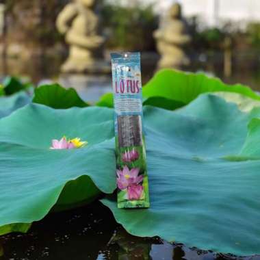 Hio / Dupa Aromaterapi India Darshan Incense Stick Strip Pack 39 cm isi 50 Stik - Pelita Fortune Lot