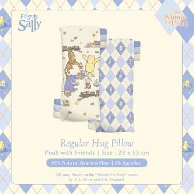 Friends Of Sally - Mini & Regular Hug Pillow Disney Classic Pooh POOHWITHFRIENDS REGULAR PILLOW