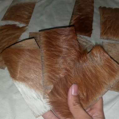 kulit ki jang hanalam handalam mencek