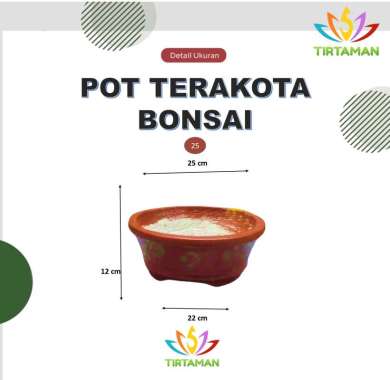 pot terakota bonsai cawan / pot gerabah bonsai cawan / pot bonsai tanah liat cawan [reguler termasuk