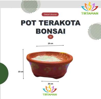 pot terakota bonsai cawan / pot gerabah bonsai cawan / pot bonsai tanah liat cawan [reguler termasuk