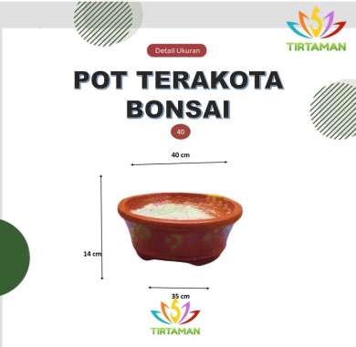 pot terakota bonsai cawan / pot gerabah bonsai cawan / pot bonsai tanah liat cawan [reguler termasuk