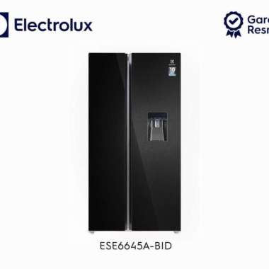KULKAS SIDE BY SIDE ELECTROLUX ESE6645A-BID