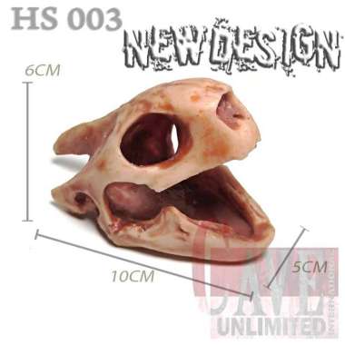 HS003 HIDINGCAVE SKULL TENGKORAK KEPALA TORTOISE KERANGKA FOSIL TEMPAT SEMBUNYI TARANTULA P METALLIC