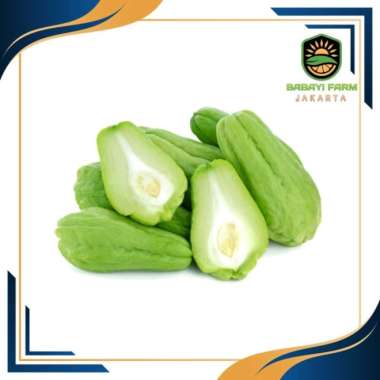 Labu Waluh Siam Putih / Manisa / Jipang