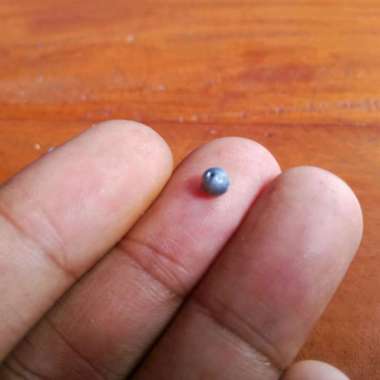 Timah lada pancing harga 1 pcs atau per biji timah mancing