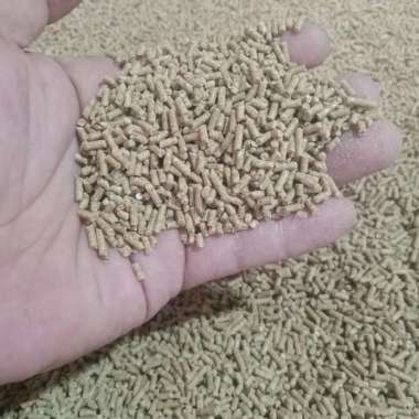pur mentah pakan jalak suren jalak kebo dll