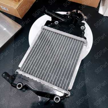RADIATOR VARIO 125 VARIO 150 LED SGPART