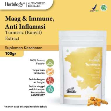 Herbilogy | TURMERIC Extract Powder - 100gr | Bubuk KUNYIT