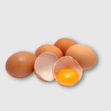[SEMARANG] TELUR AYAM NEGERI