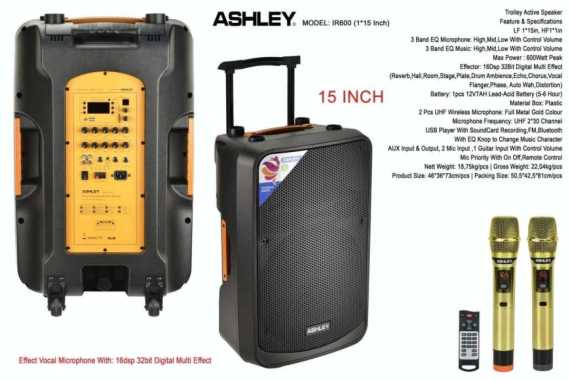 spekaer portable ashley ir600 ir 600 15 inch original