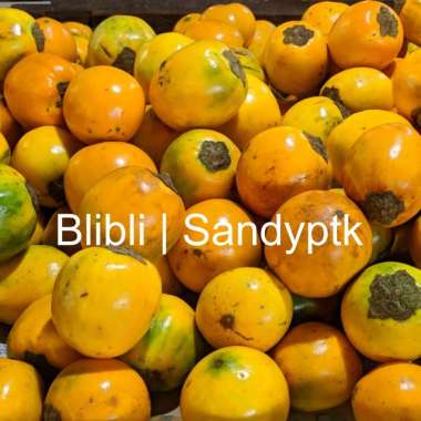 Buah Terong Asam Pontianak - Terong Dayak Khas Kalimantan
