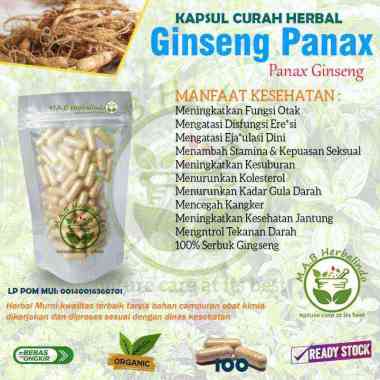 Ginseng Panax 100 Kapsul Herbal Kuat Pria Libido Booster EDI