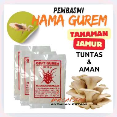 Pembasmi Hama Gurem Kutu dan Semut pada Baglog Tanaman Jamur