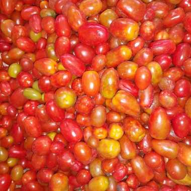 tomat ceri ceri 500 gr