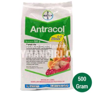 FUNGISIDA ANTRACOL 70 WP 500 GRAM