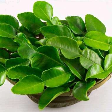 Daun Jeruk (Bumbu-Rempah)
